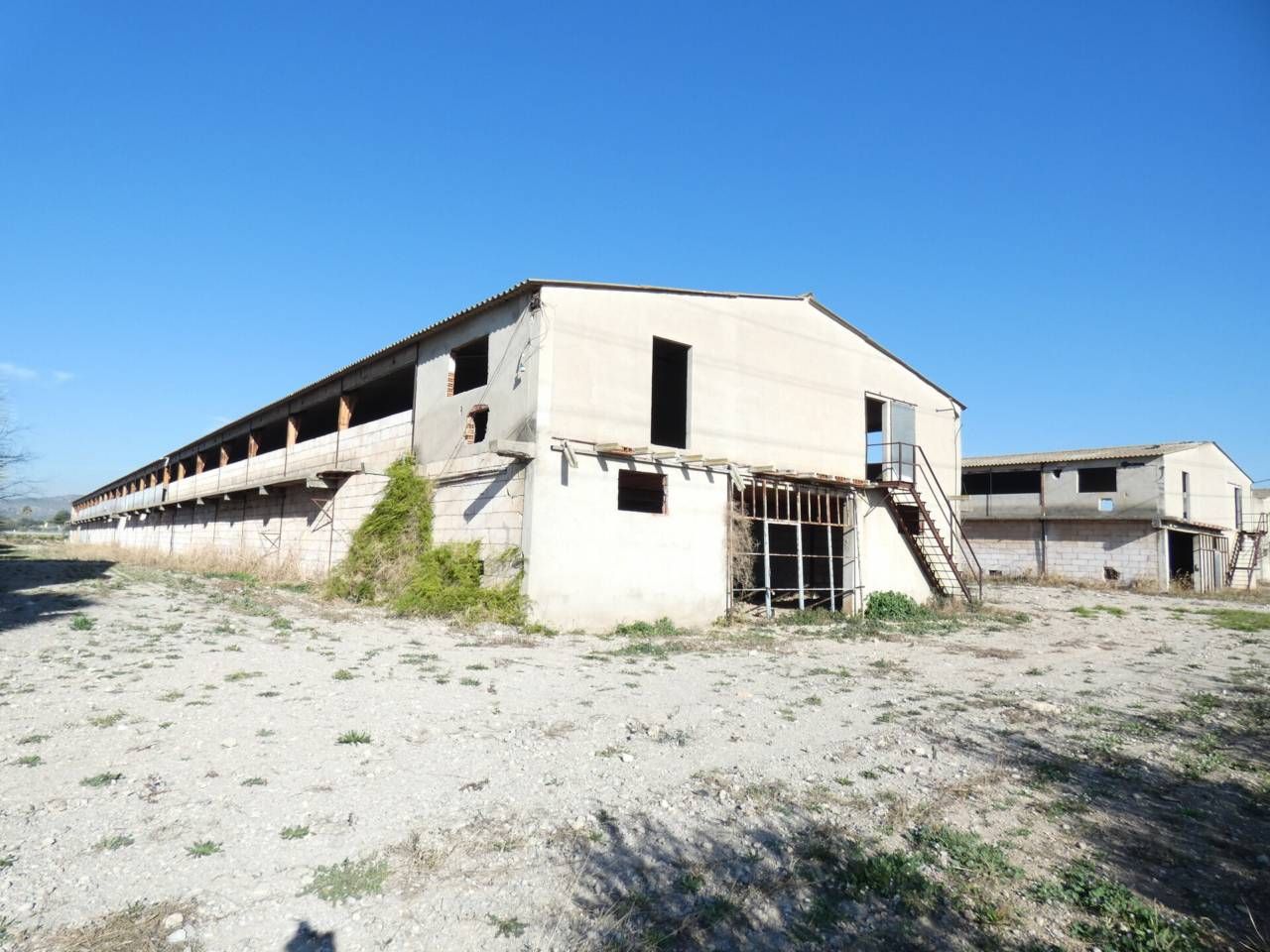 Exterior view of Industrial buildings for sale in Benicarló