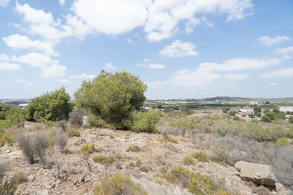 Office for sale in C/ Montecantalar, El Esparragal