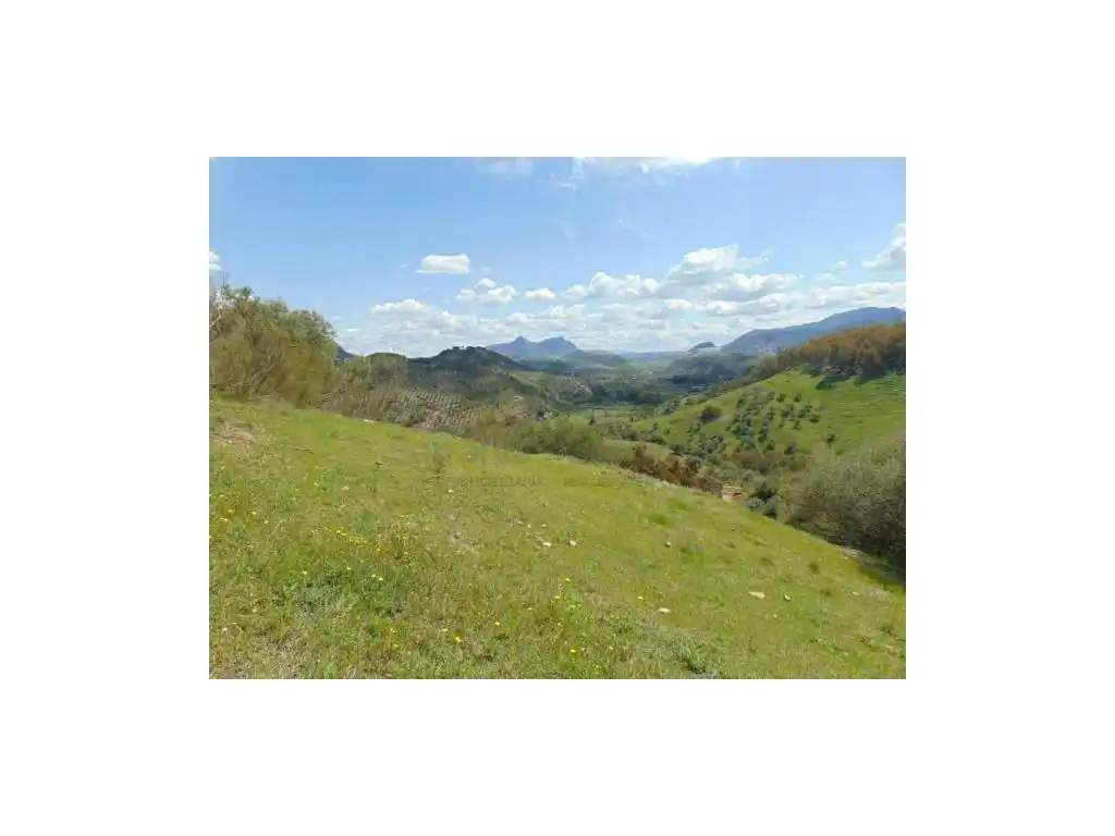 Maison à vendre à Algodonales, imagen 5