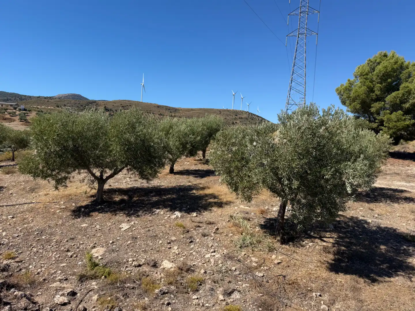 Terreno rustico in vendita a Camino de la Sierra, imagen 12