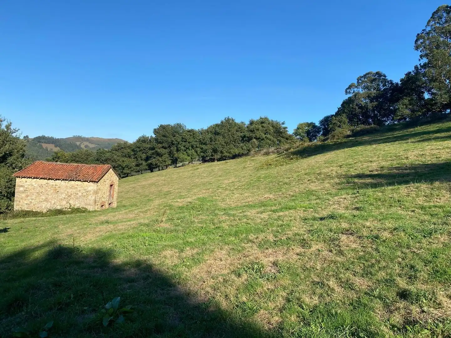 Rural land for sale in Barrio Aes, imagen 15