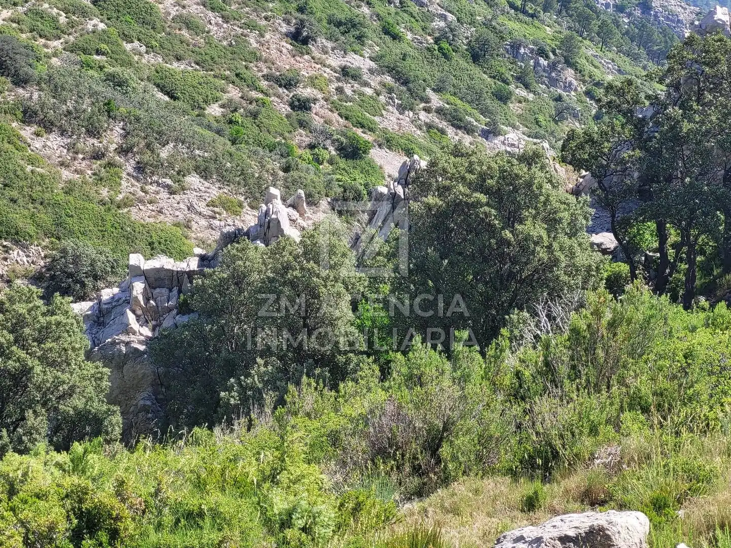 Terreno rustico in vendita a Canet lo Roig, imagen 25