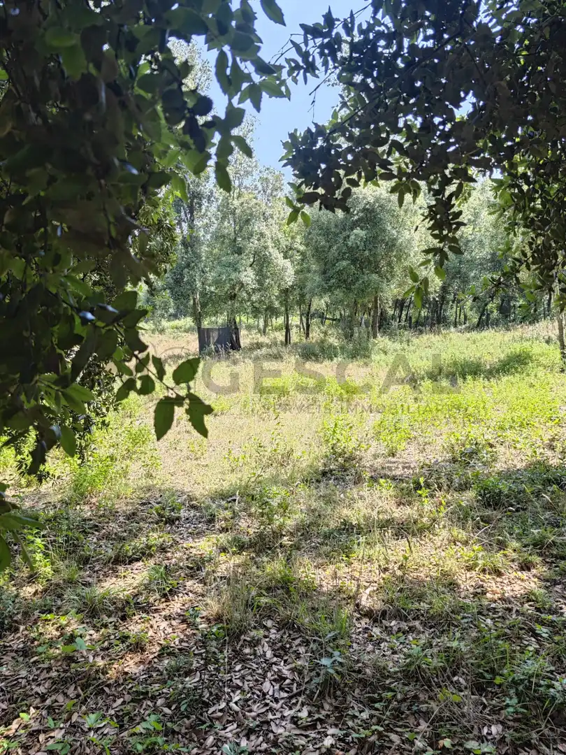 Terrenys i solars en venda a DE SALVADOR ESPRIU, imagen 20