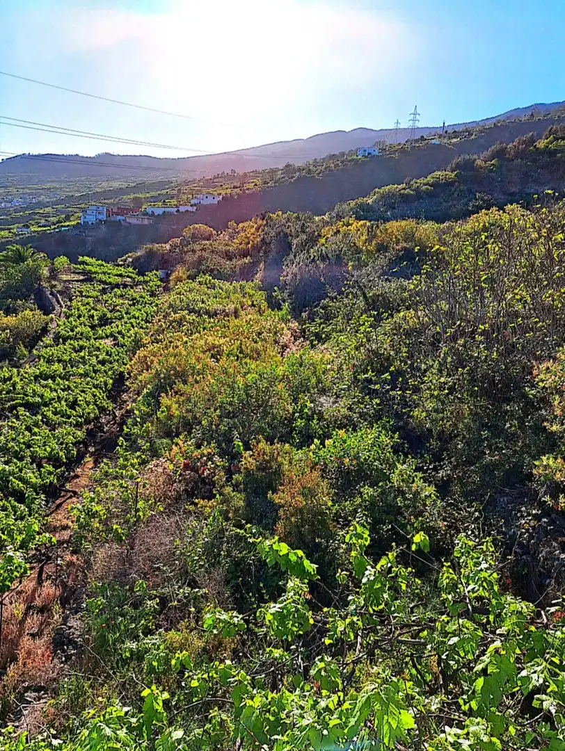 Rural land for sale in La Corujera, imagen 3