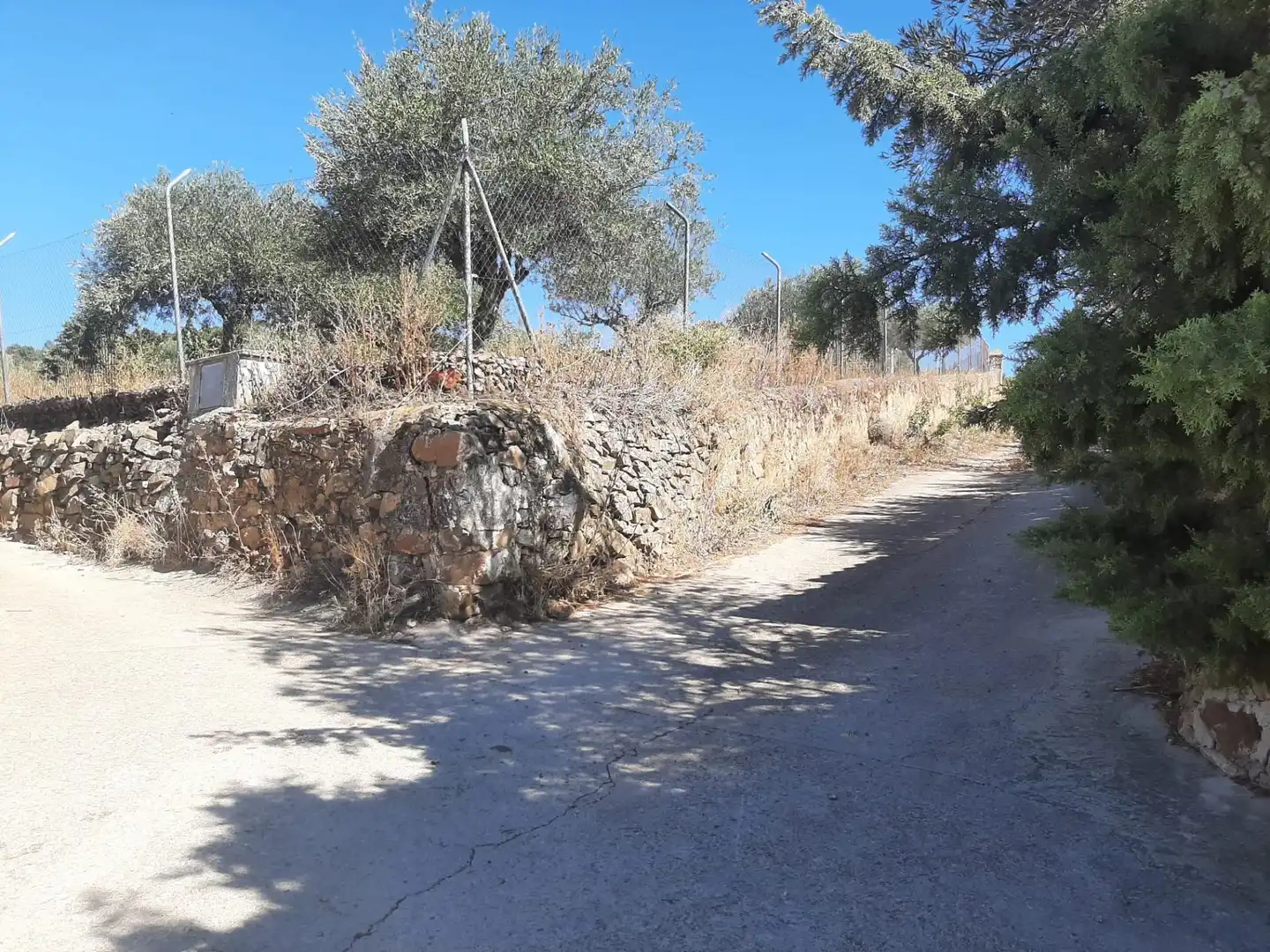Terreni e lotti in vendita a Sierra de Fuentes, imagen 7