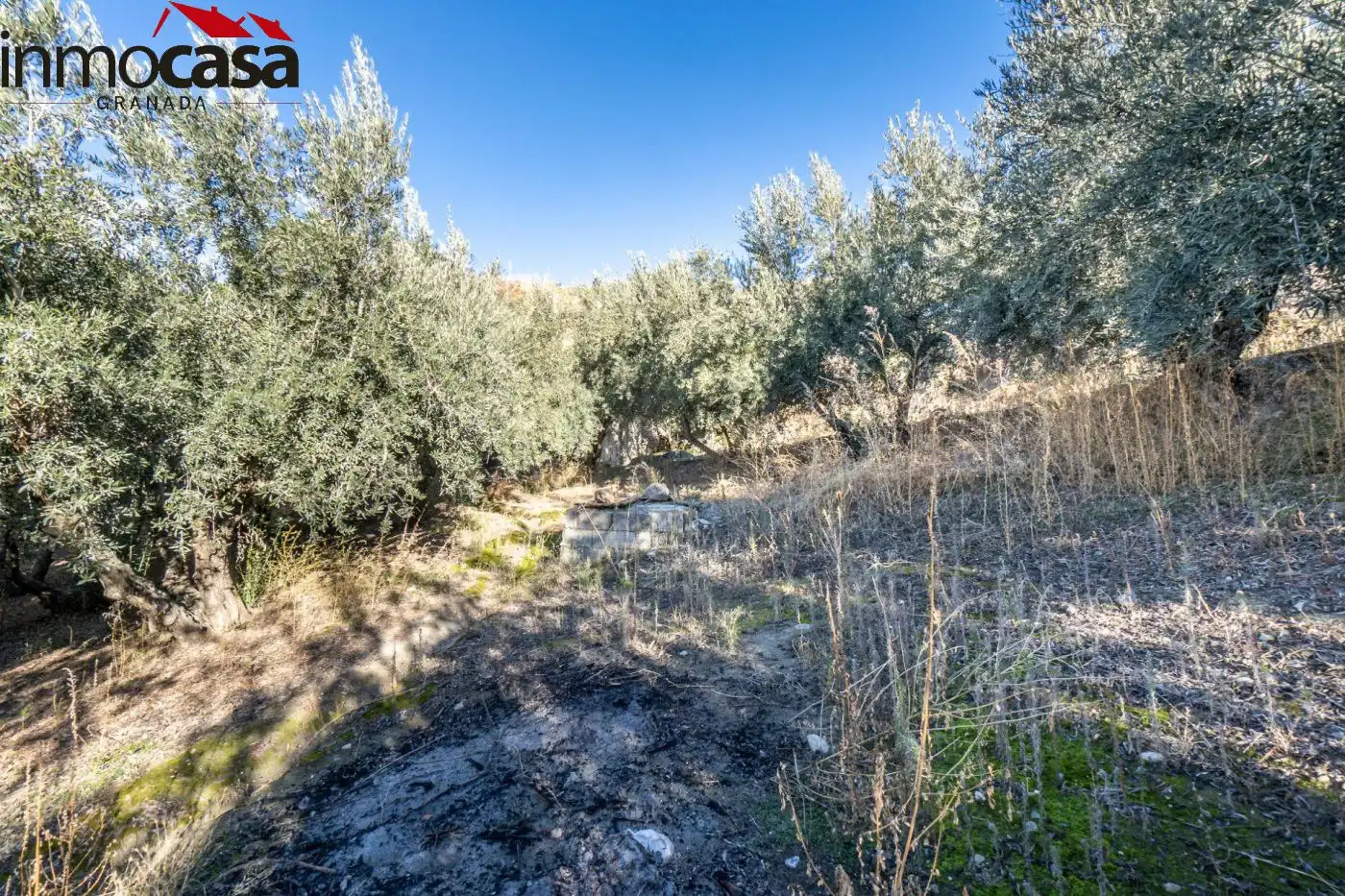 Finca rústica en venda a Polígono PARAJE DE LA HOYA, Güéjar Sierra
