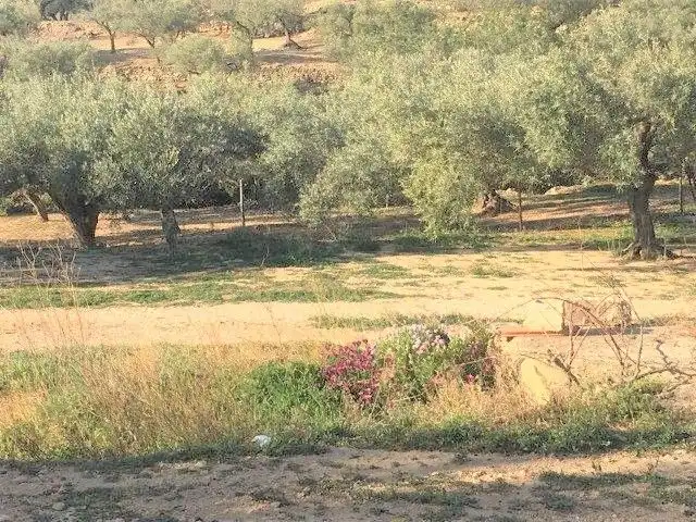 Casa o xalet en venda en Tortosa