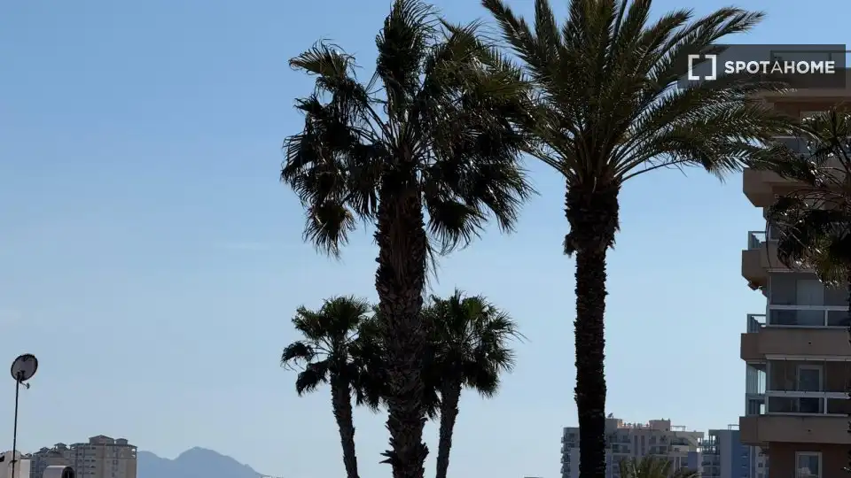 Vista exterior de Apartament per a compartir en La Manga del Mar Menor amb Aire condicionat, Terrassa i Moblat