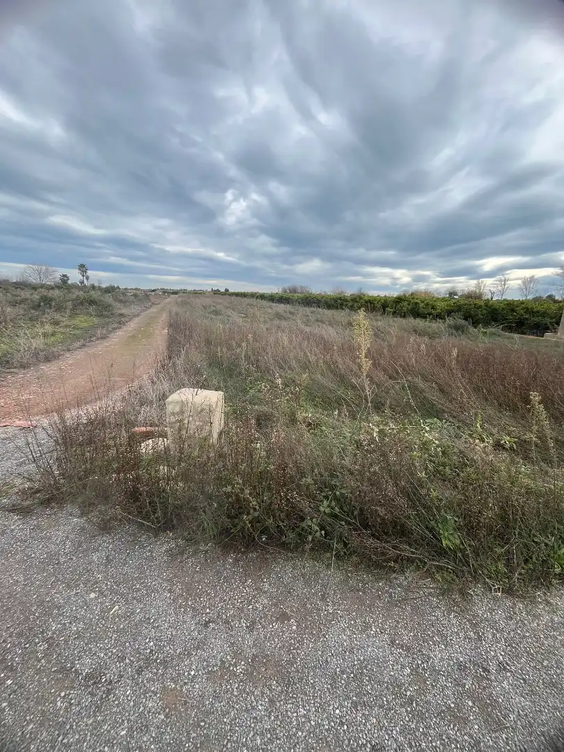 Terrain rustique à vendre à Sagunto ciudad