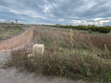 Terrain rustique à vendre à Sagunto ciudad