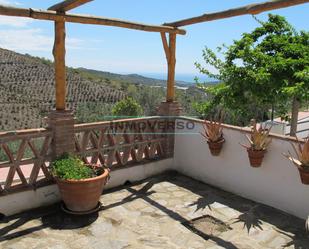 Terrasse von Haus oder Chalet miete in Macharaviaya mit Terrasse und Balkon