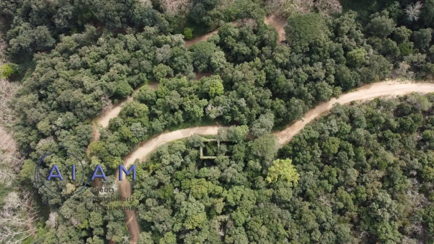 Finca rústica en venta en Santa Susanna
