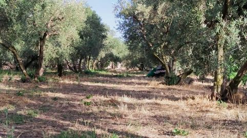 Foto 3 de Residencial en venta en Nigüelas, Granada