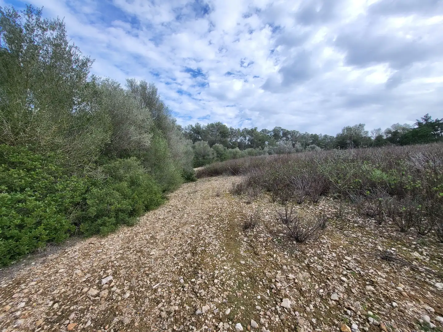 Terreni e lotti in vendita a Sant Joan, imagen 6