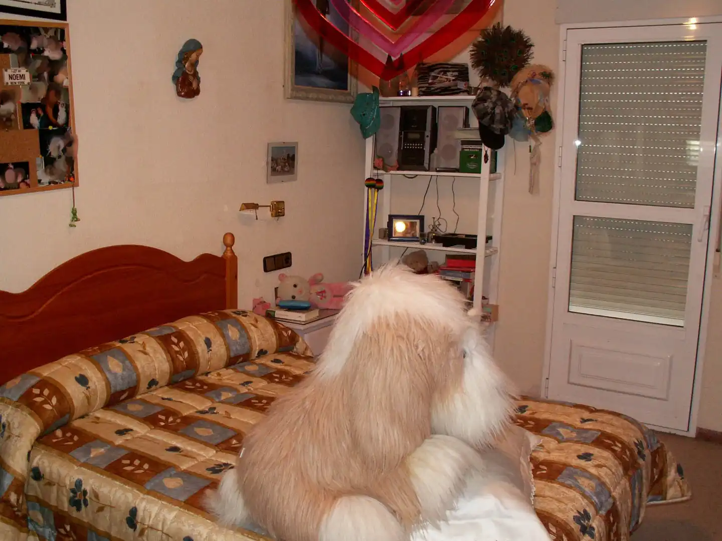 Detached house with garden for sale in Pedanías Este, imagen 23