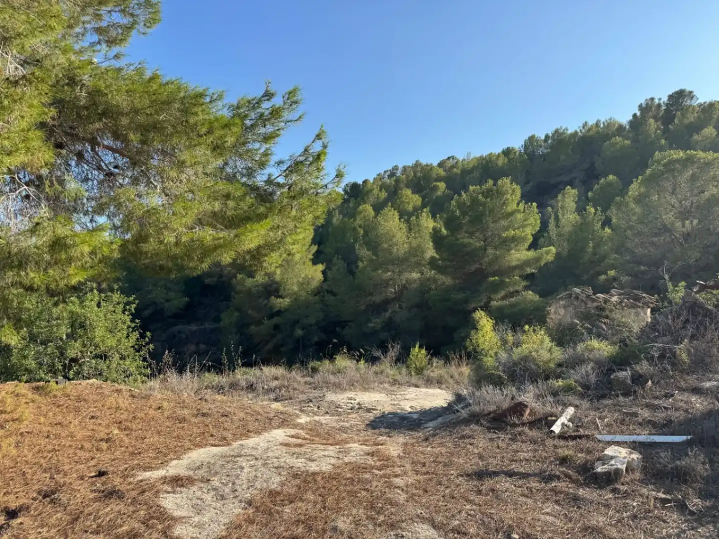Finca rústica en venda en Benissa