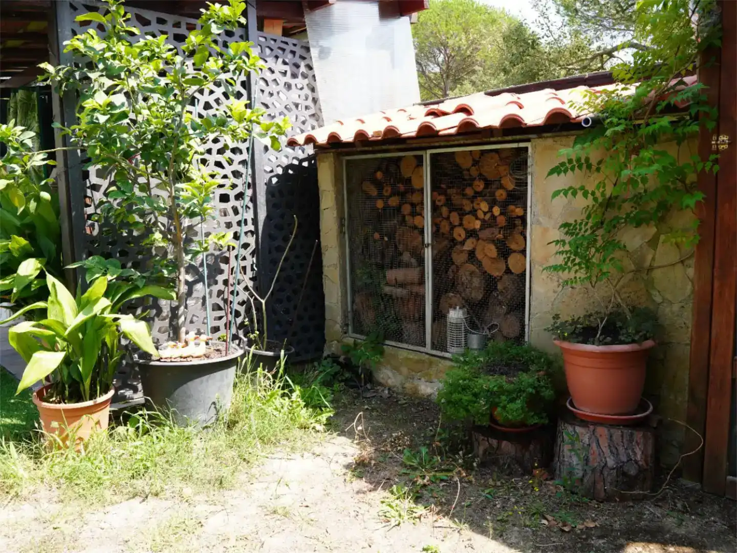 Vista exterior de Finca rústica en venda en Caldes de Malavella