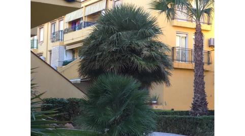 Photo 2 of Attic for sale in Avenida Don Juan de Austria, Villamartín - Las Filipinas, Alicante