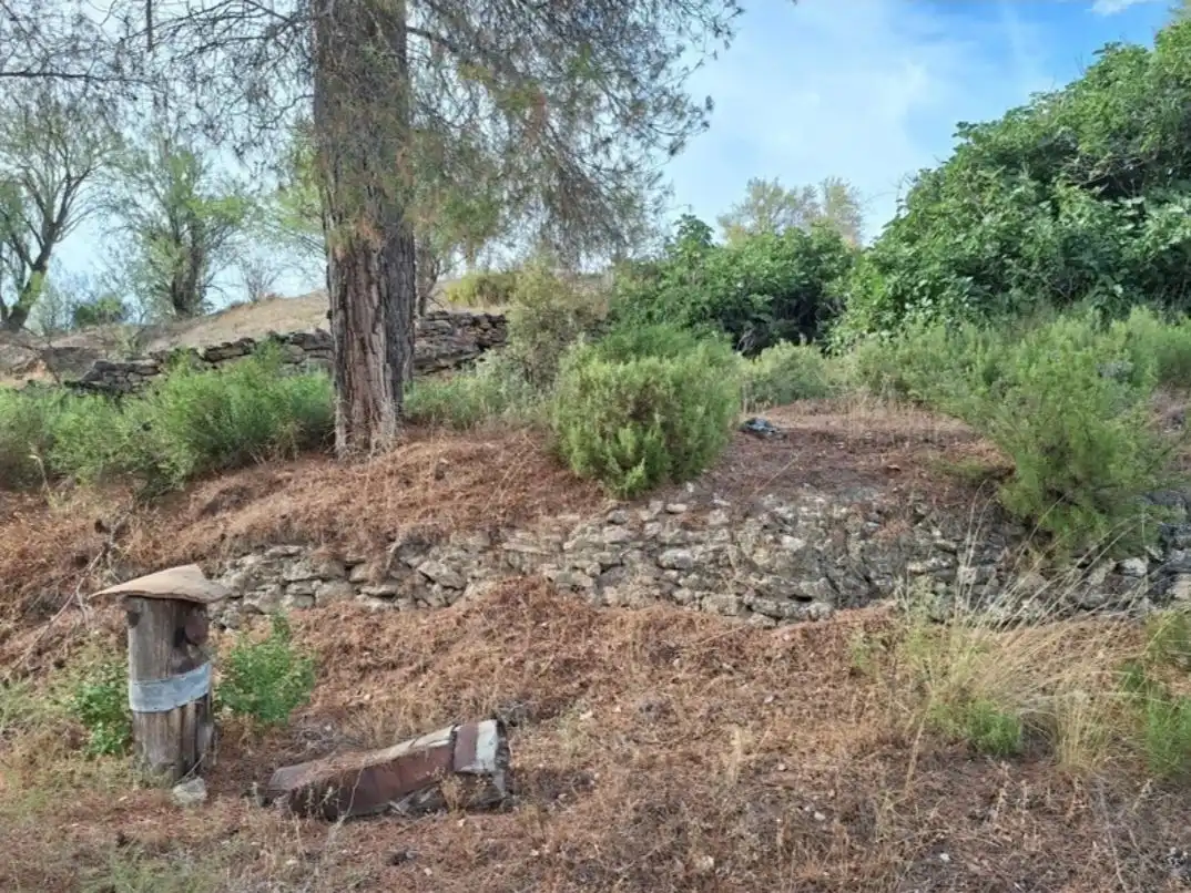 Land for sale in Villaconejos de Trabaque