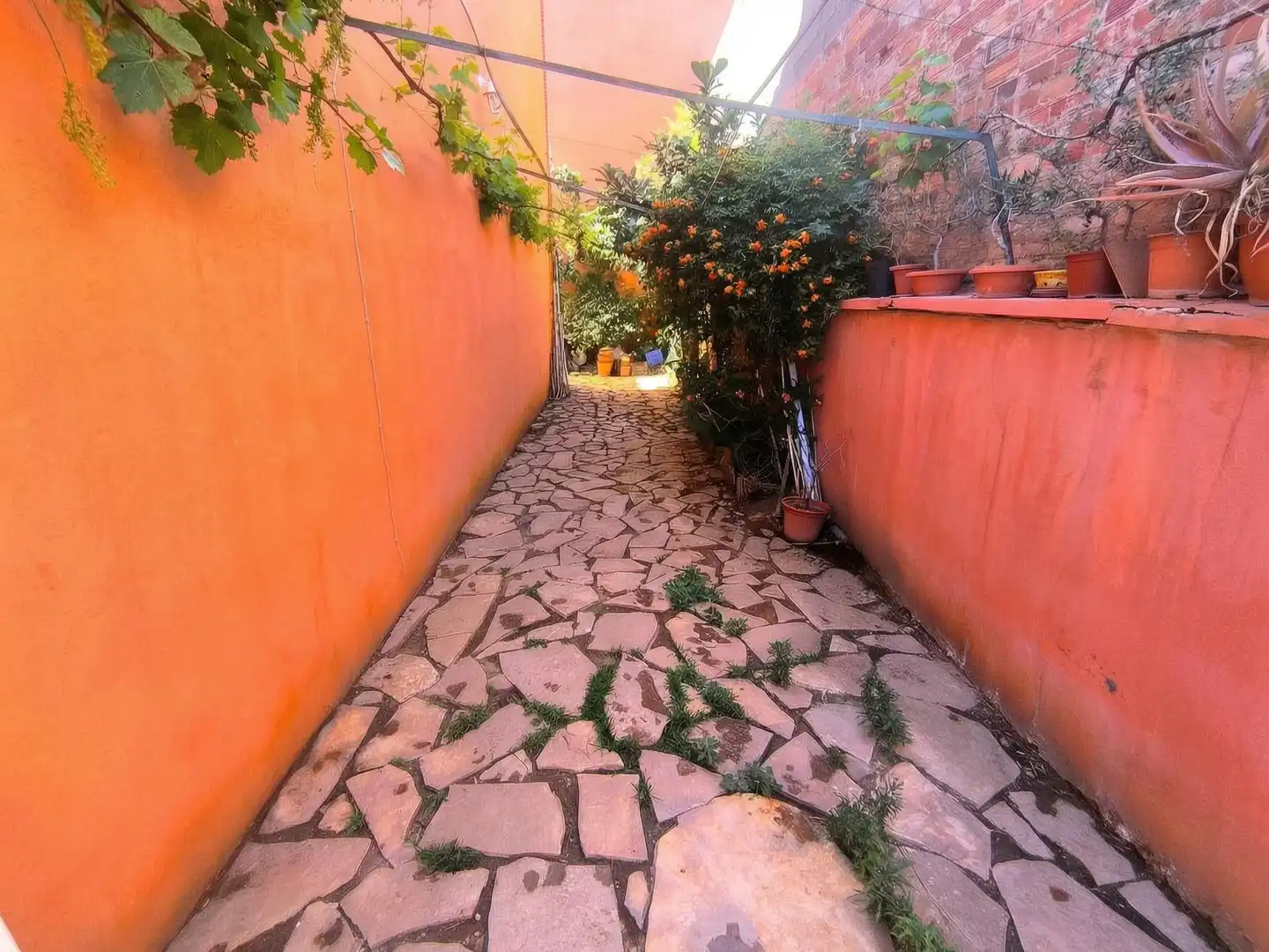 Maison jumelée avec terrasse à vendre à Calle SAN JAIME, imagen 13
