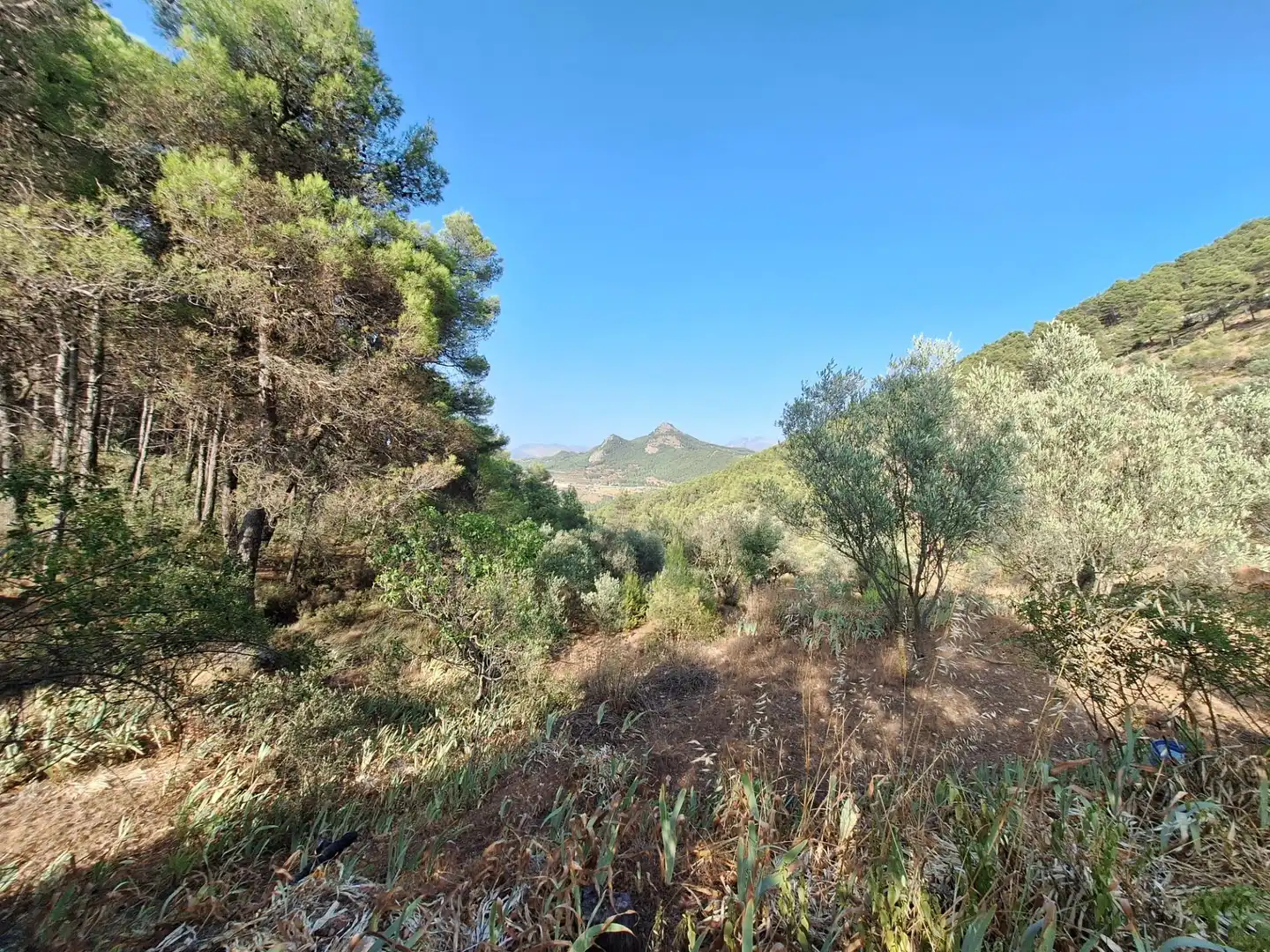 Finca rústica en venda en Alcoy / Alcoi amb Traster i Moblat