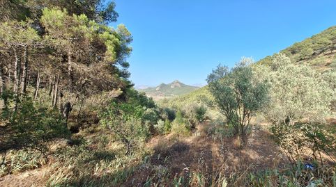 Foto 4 de Finca rústica en venda a Partida Sentbenet Baix, Centre - Zona Alta, Alcoy / Alcoi