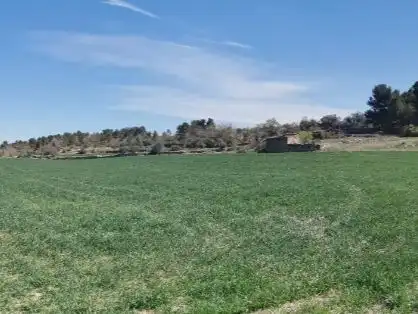 Rural land for sale in Carretera Albí 39, imagen 5