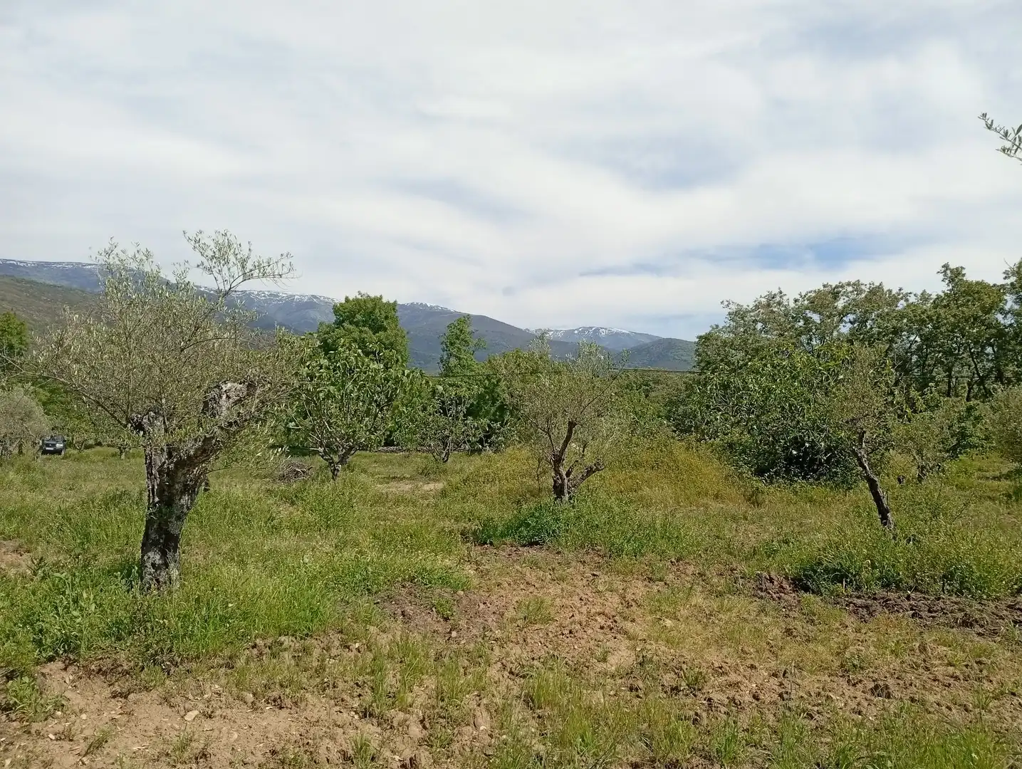 Terreni e lotti in vendita a Villanueva de la Vera, imagen 47