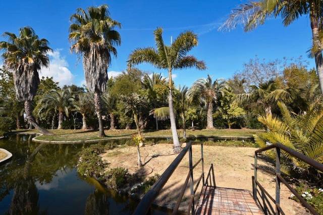 Finca rústica en Venta en El Dossel - Mareny de San Lorenzo