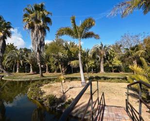 Jardí de Finca rústica en venda en Cullera