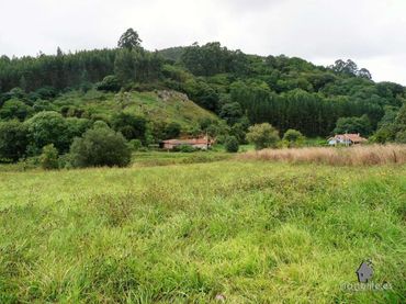 Terreno residencial en venta en Pillarno