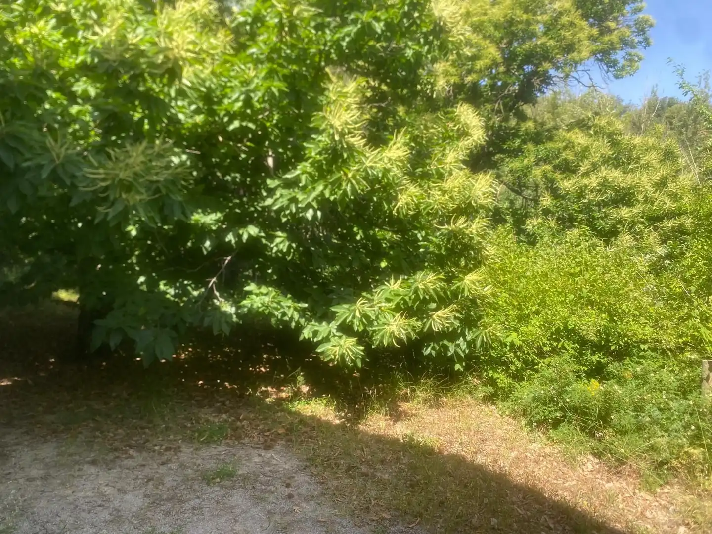 Casa amb jardí en venda a Güéjar Sierra, imagen 28