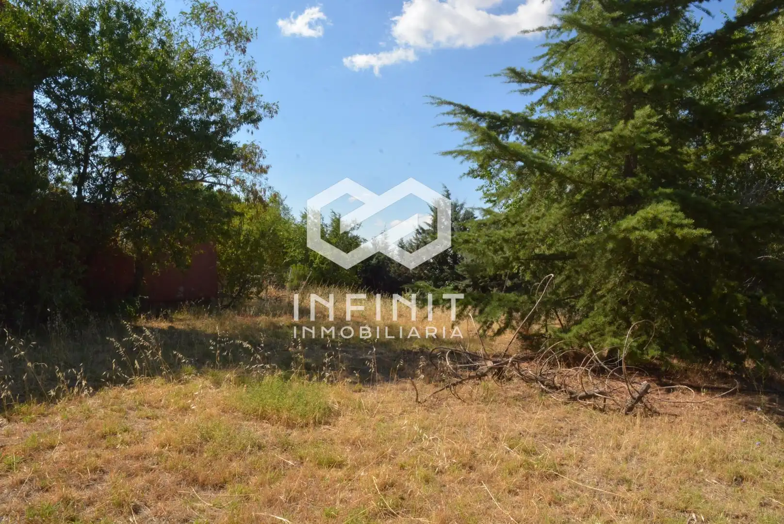 Casa o chalet en venta en Ribatejada