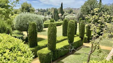 Imatge 2 de l'anunci
