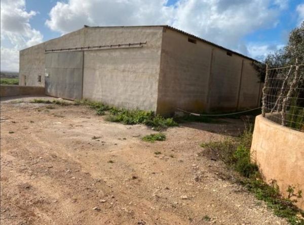 Nau industrial de lloguer en Manacor