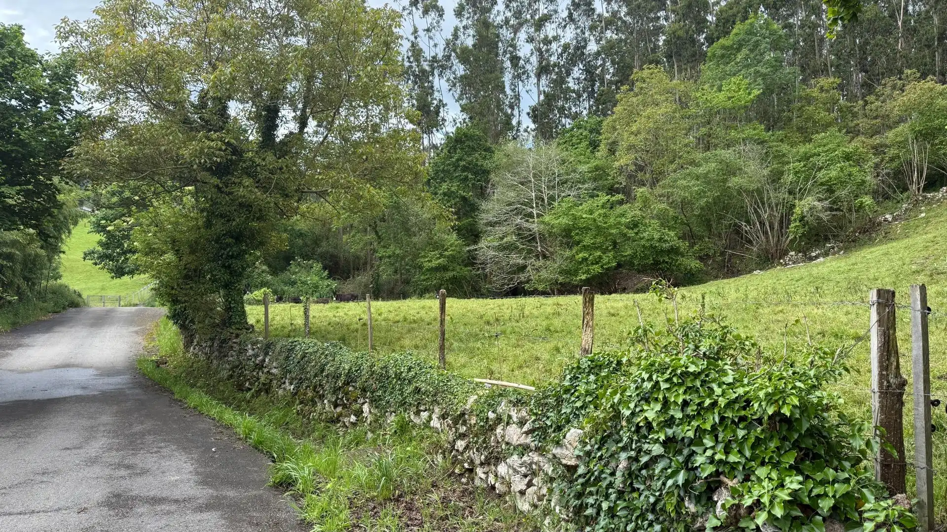 Land for sale in Valdáliga