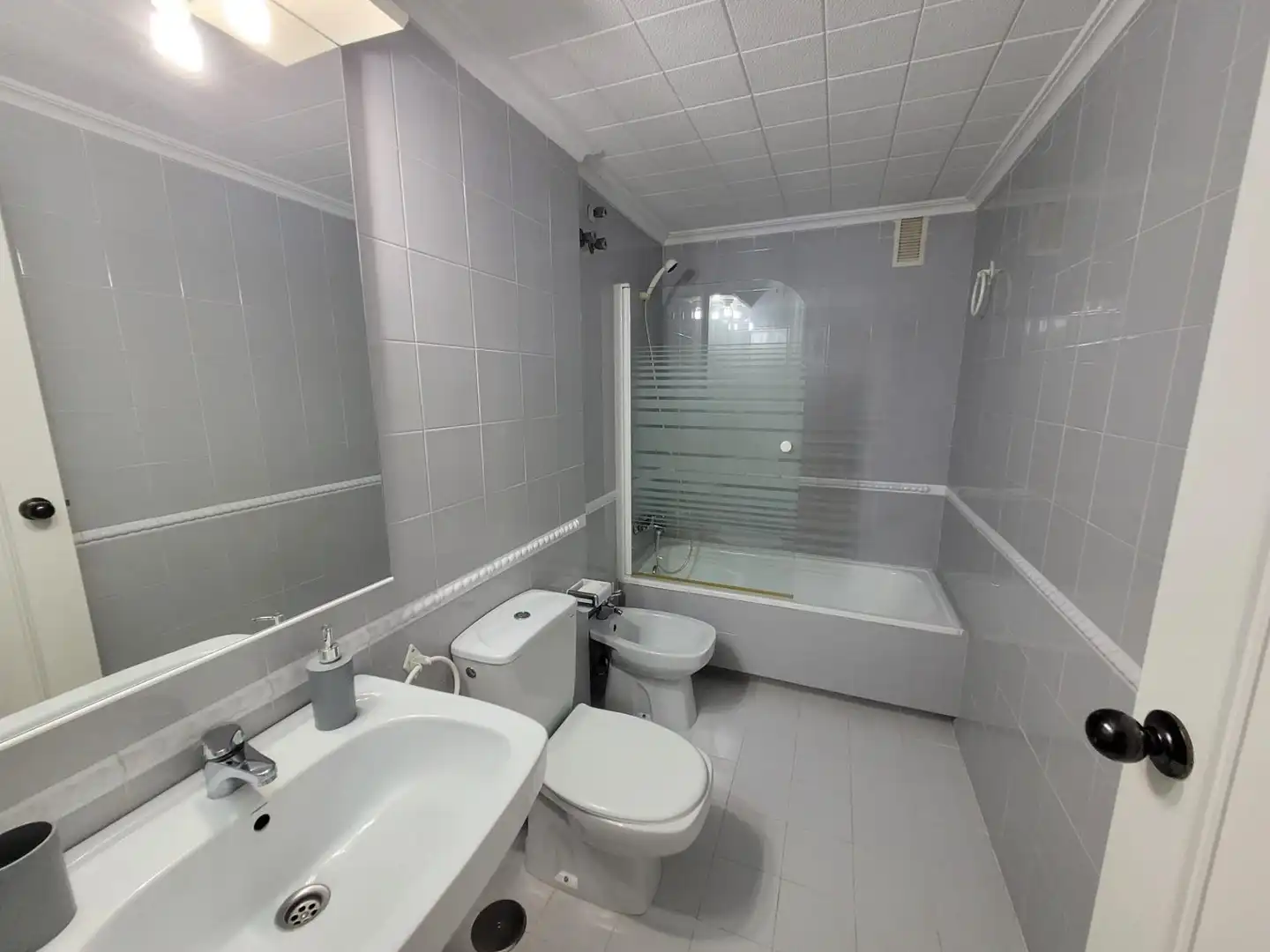 Badezimmer von Wohnungen zur Miete in Alicante / Alacant mit Privatgarten, Möbliert und Balkon