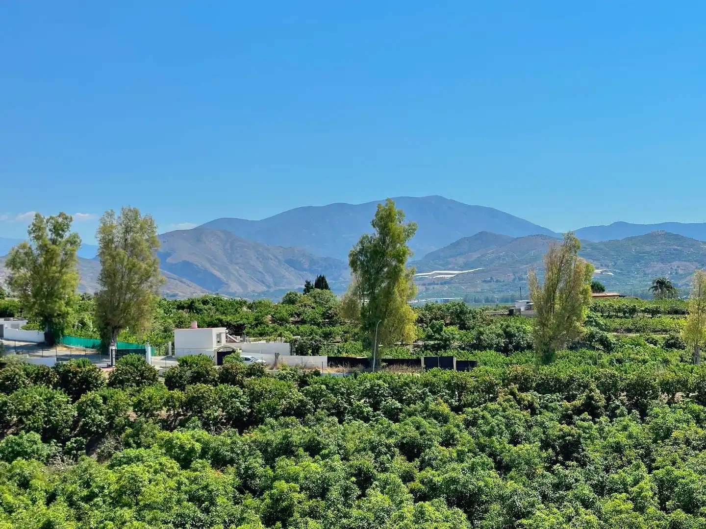 Maison rustique avec piscine à vendre à del serrayo, imagen 34