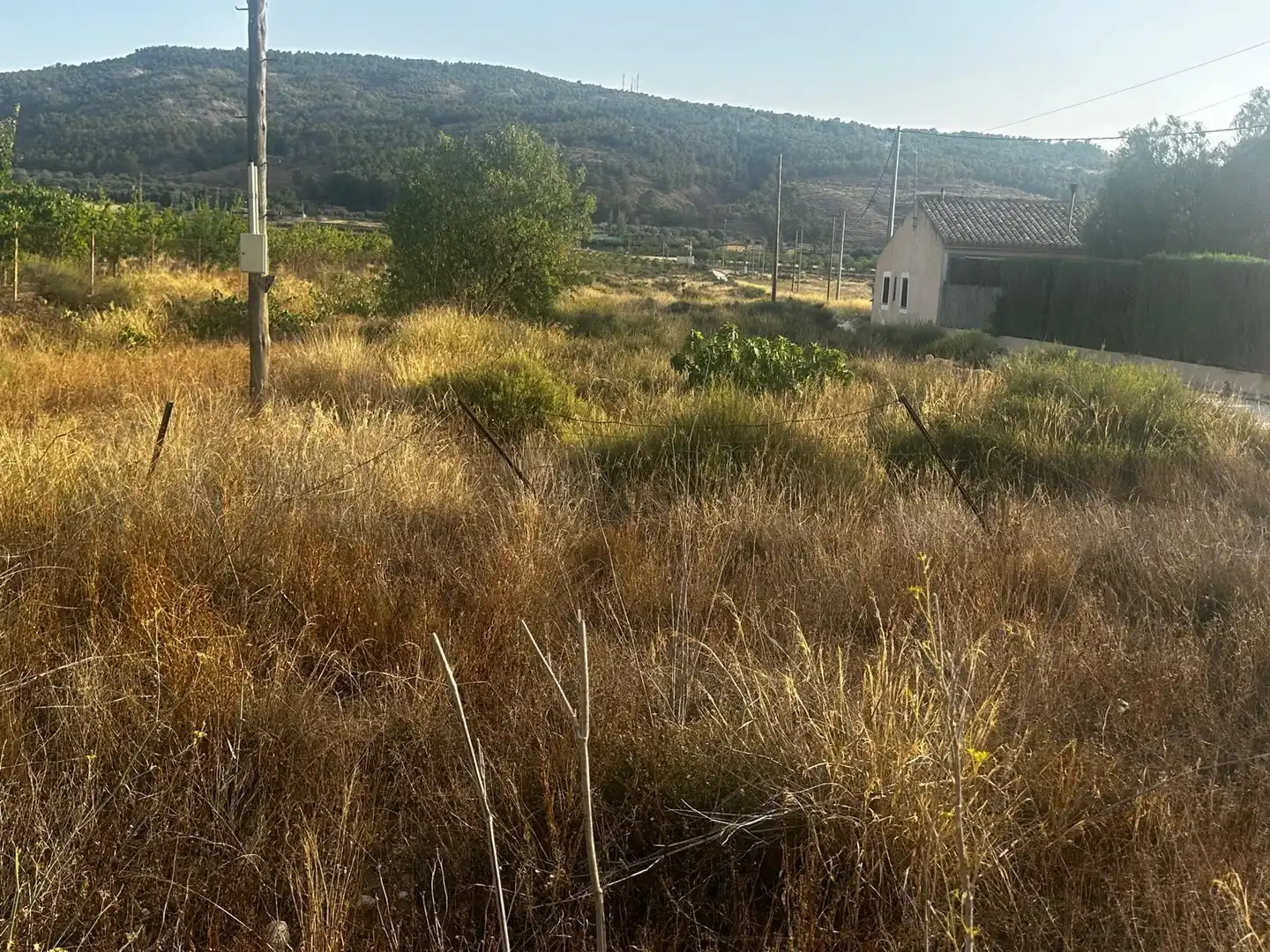 Wohnbaugrundstück zum Verkauf in El Pinós / Pinoso, imagen 4