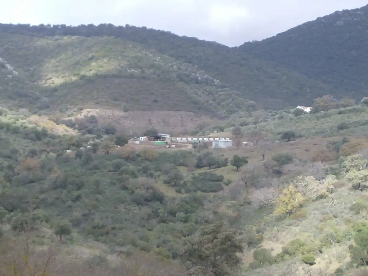 Casa rústica en venda a Benaocaz, imagen 13
