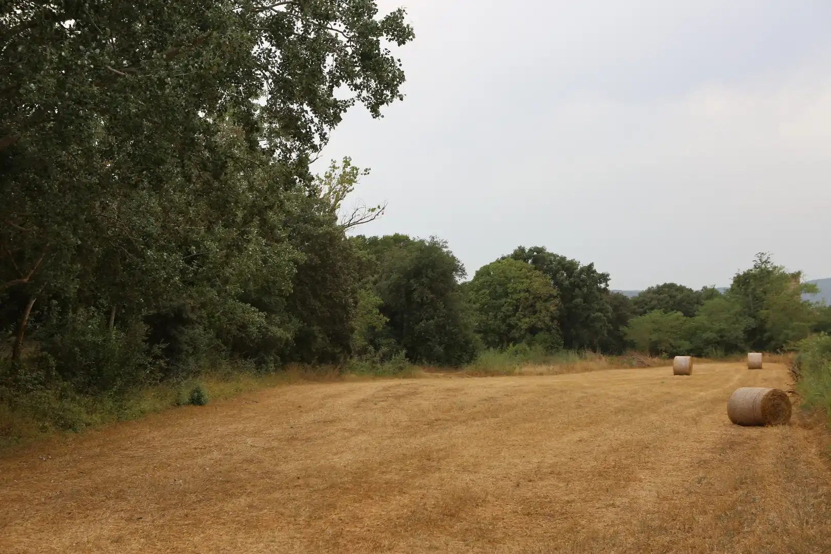 Finca rústica en venda en Begur amb Jardí privat
