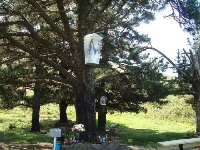Xalet amb jardí en venda a Rionansa, imagen 6