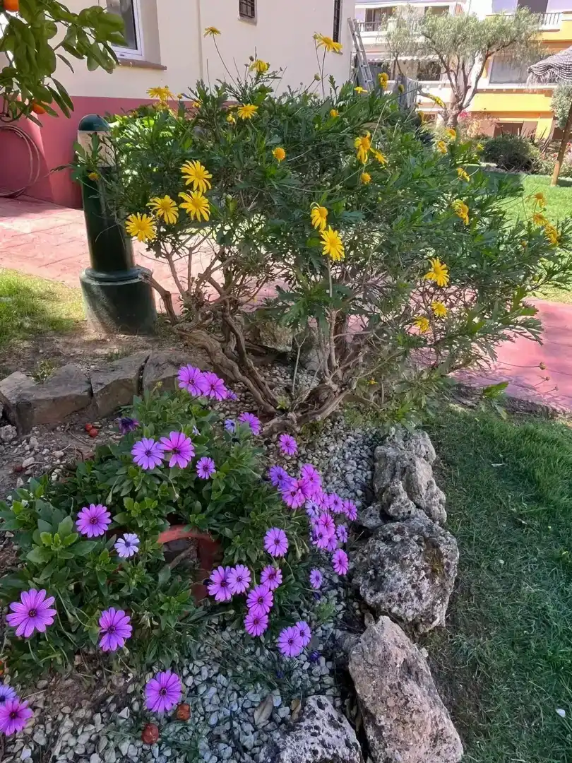 Jardí de Pis de lloguer en Ayamonte amb Aire condicionat, Jardí privat i Parquet