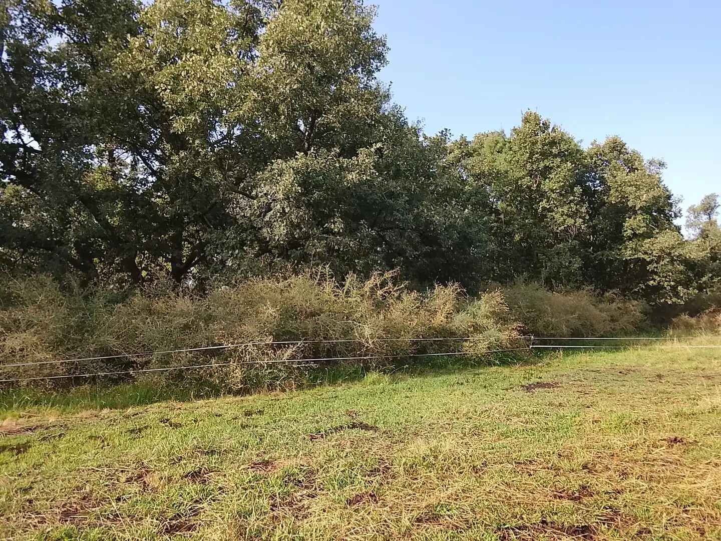 Terreni e lotti in vendita a Villanueva de la Vera, imagen 21