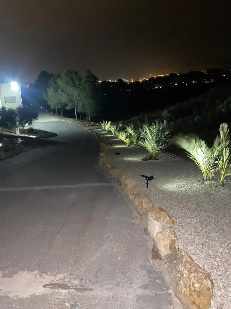 Vista exterior de Casa o chalet en venta en Elda con Aire acondicionado, Calefacción y Jardín privado