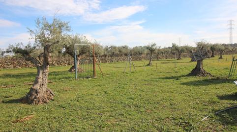 Foto 5 de Finca rústica en venda a Calle Los Molinos, 13, Torremocha, Cáceres