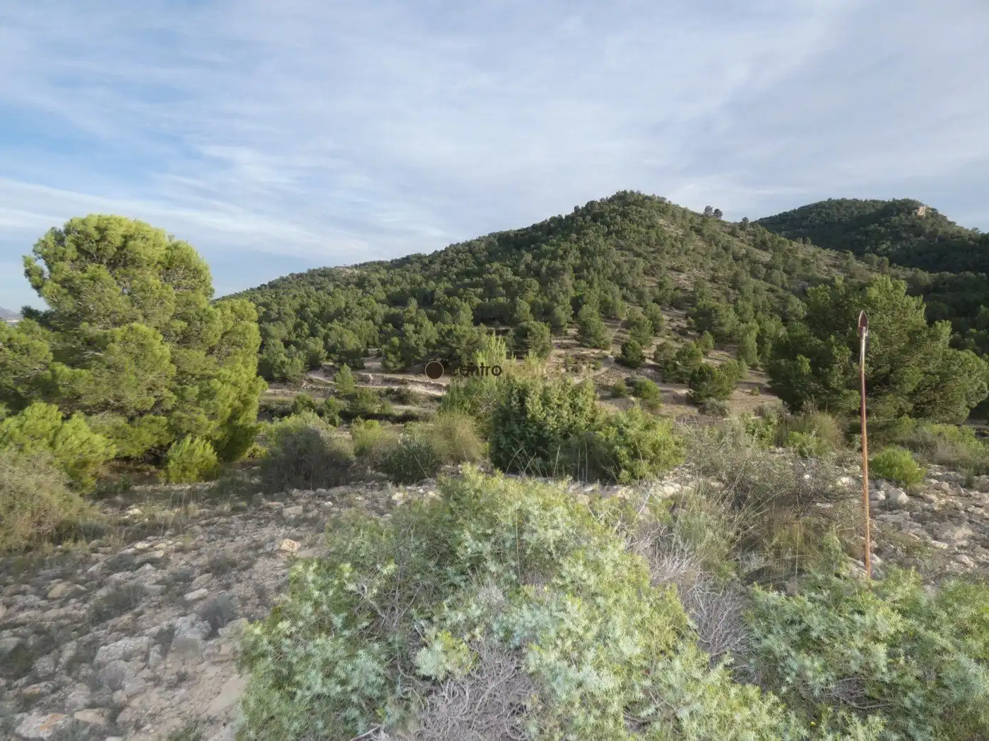 Residential land for sale in Monóvar  / Monòver, imagen 2