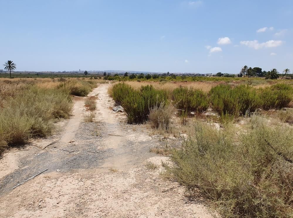 Land for sale in Elche / Elx