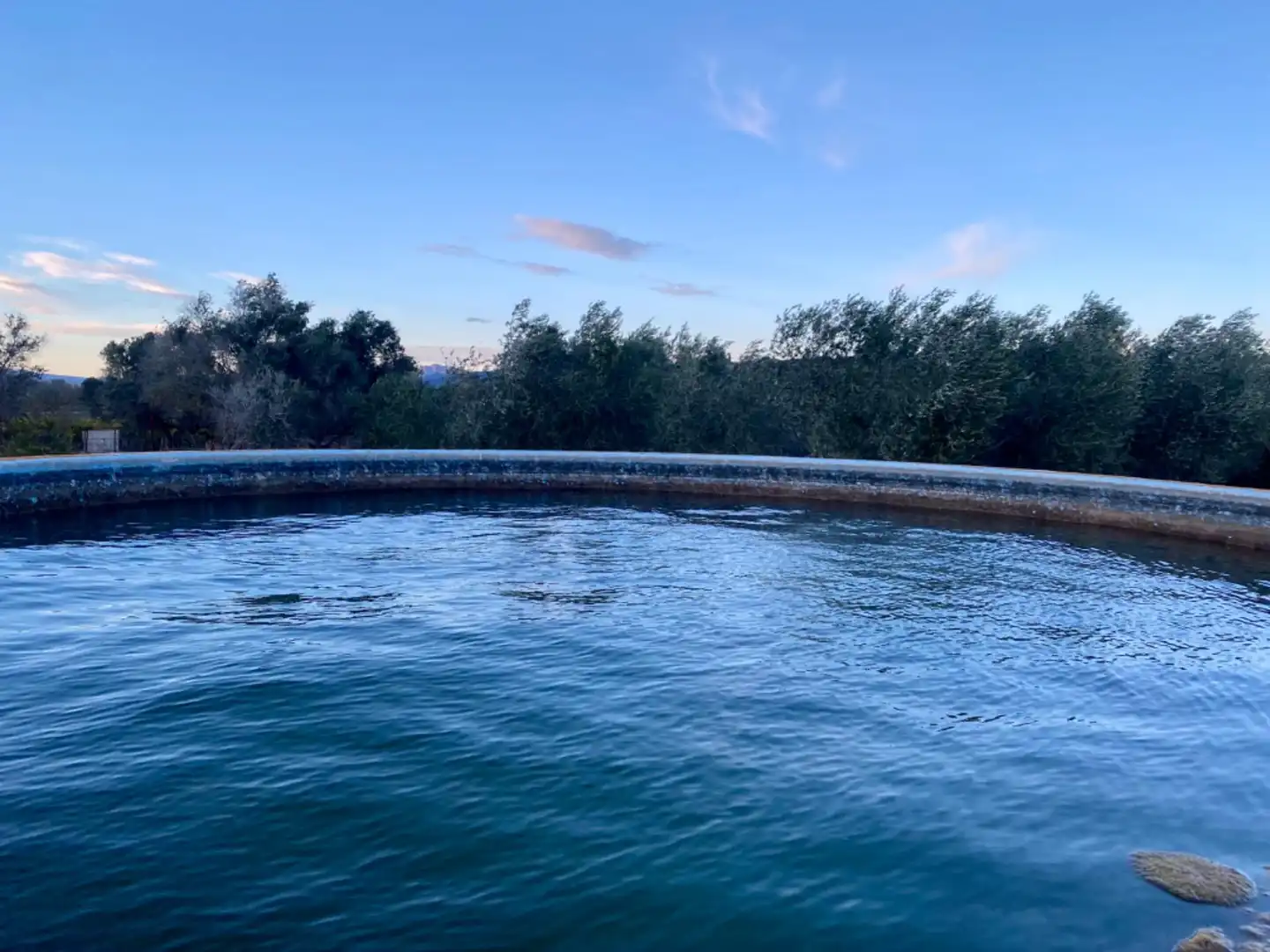 Piscina de Finca rústica en venda en Masdenverge amb Piscina