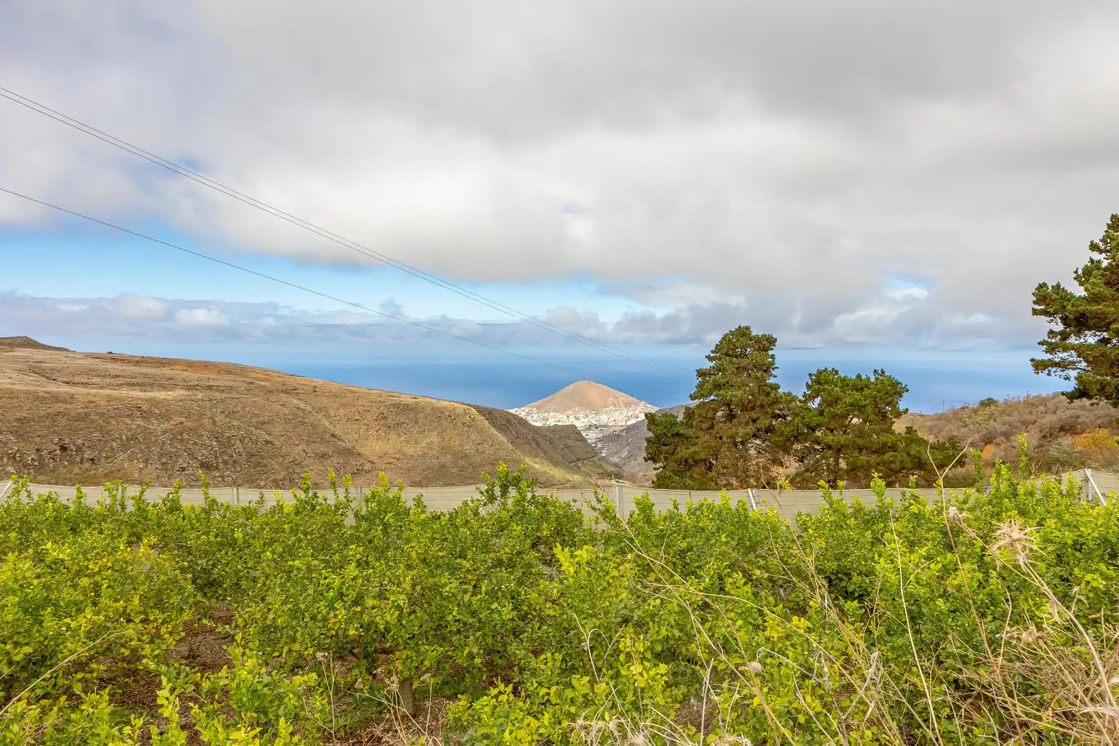Residencial en venta en Lugar Lomo del Poleo, Saucillo - Fagajesto - Juncalillo